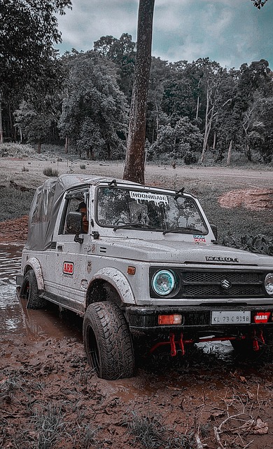 帮助您更好 帮助您更好