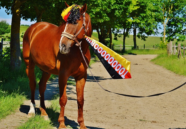 挥都起到了 挥都起到了