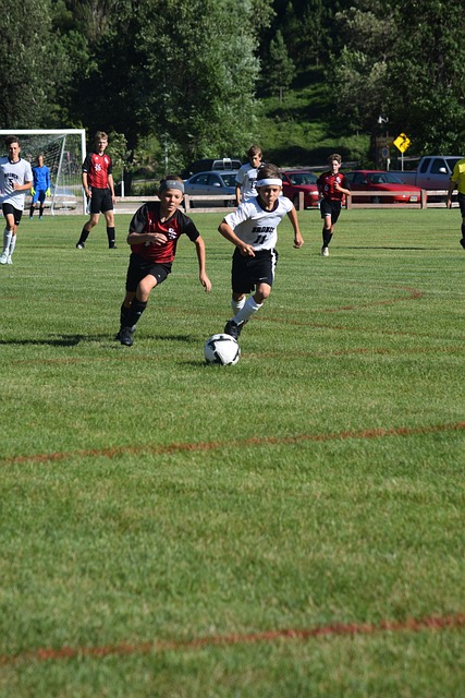 优雅的极致 优雅的极致