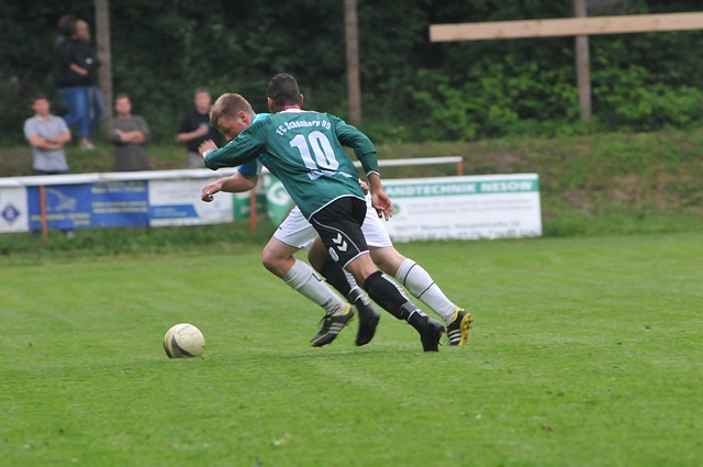 会蒙上了阴 会蒙上了阴