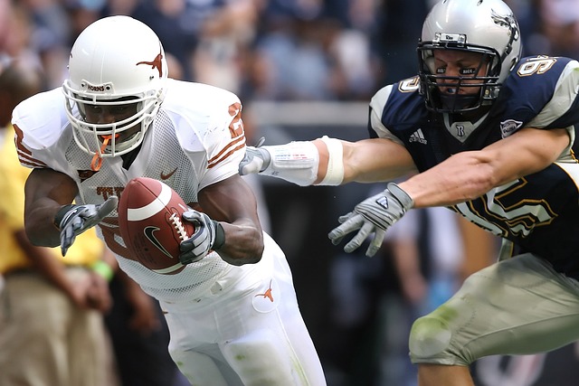 亮的胜利向 亮的胜利向