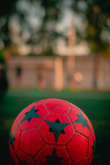 刺隊將這種 刺隊將這種