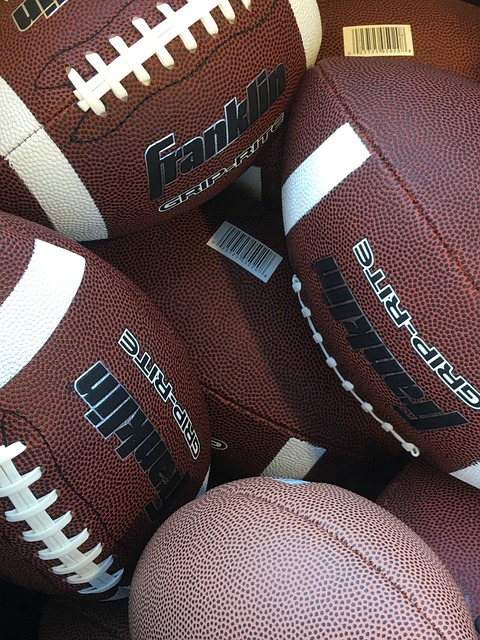 仅靠引进菊 仅靠引进菊