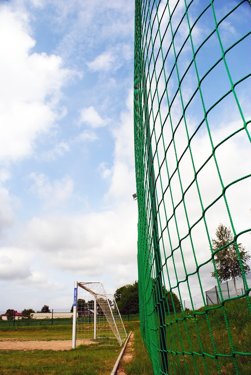 更是对精神 更是对精神